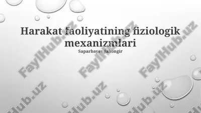 harakat faoliyatining fiziologik mexanizmlari — PPTX