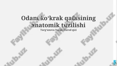 qovurg'alar qafasining anatomik tuzilishi — PPTX