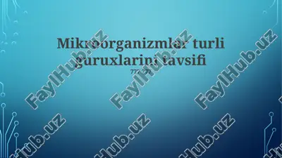 mikroorganizmlar turli guruxlarini tavsifi — PPTX