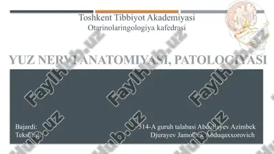yuz nervi anatomiyasi, patologiyasi — PPTX