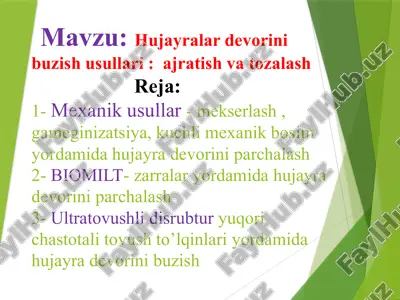 hujayralar devorini buzish usullari — PPTX