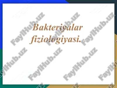 bakteriyalar fiziologiyasi. — PPTX