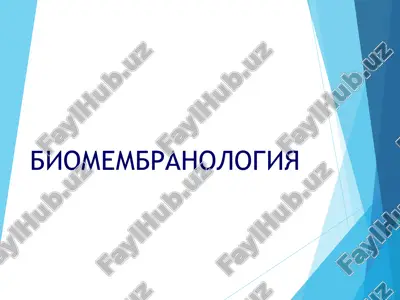 biomembranologiya — PPT