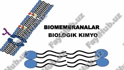hiicre zarinin yap1s1 — PPTX