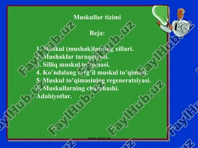 muskullar tizimi — PPT