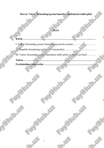 vektor formatidagi geoma'lumotlar manbalarini tahlil qilish mustaqil ish — DOCX