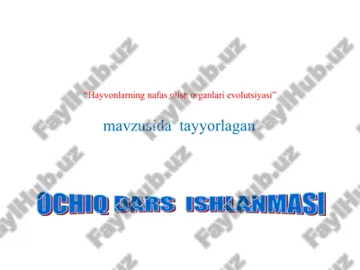 hayvonlarning nafas olish organlari evolutsiyasi — PPTX