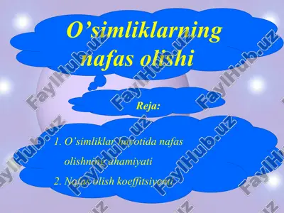 o’simliklarning nafas olishi — PPTX
