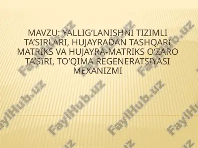 yallig‘lanish nitizimlari — PPTX