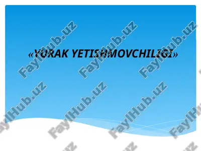 yurakyetishmovchiligi — PPT
