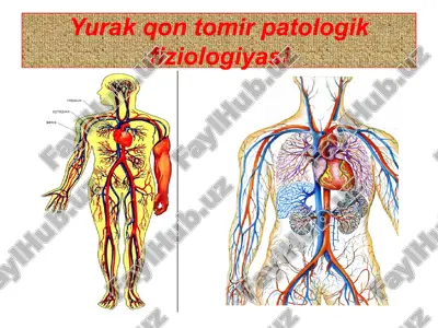 yurak qon tomir patologik fiziologiyasi — PPTX