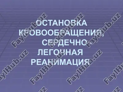 terminalnoe sostoyanie — PPTX