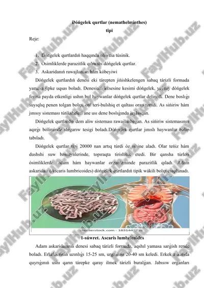 dóńgelek qurtlar (nemathelminthes) — DOCX