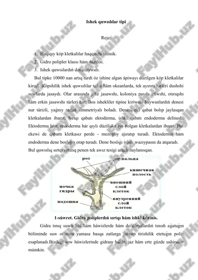 ishek quwıslar — DOCX