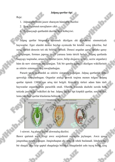 jalpaq qurtlar tipi — DOCX