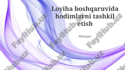 loyiha boshqaruvida hodimlarni tashkil etish — PPTX