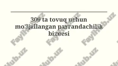 300 ta tovuq uchun mo'ljallangan parrandachilik biznesi — PPTX