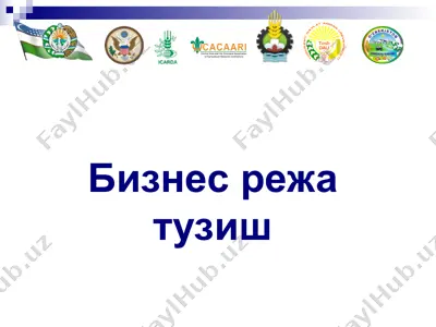 бизнес режа тузиш — PPT