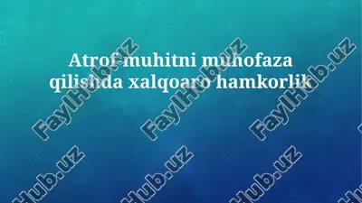 atrof-muhitni muhofaza qilishda xalqoaro hamkorlik — PPTX