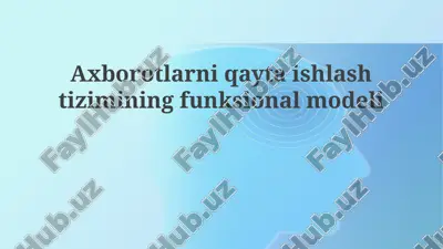 axborotlarni qayta ishlashtirish tizimining funktsional modeli — PPTX
