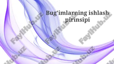 bug'imlarning ishlanish prinsipi — PPTX