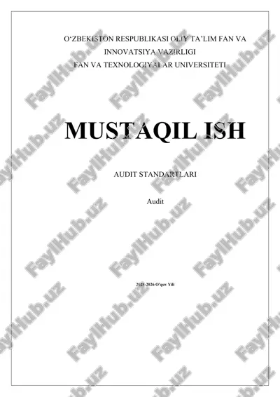 audit standartlari — DOCX