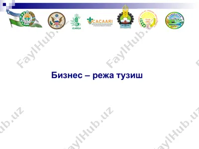 бизнес – режа тузиш — PPT