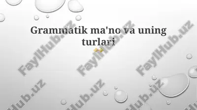 grammatik ma'no va uning turlari — PPTX