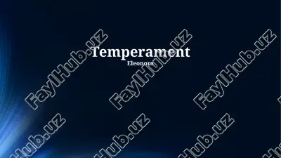 mizoj turlari — PPTX