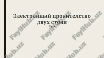 elektronniy provitelstvo dvux stran — PPTX