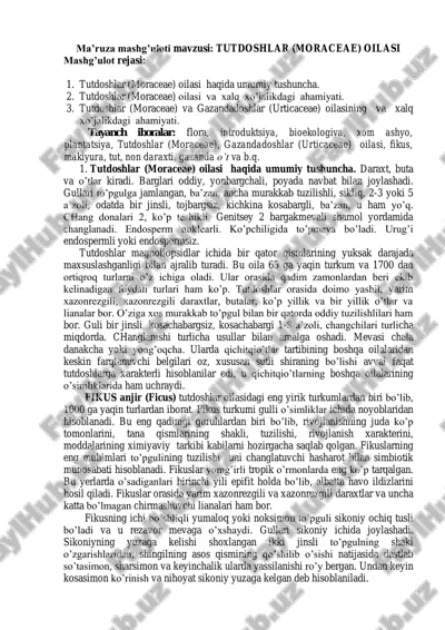 tutdoshlar (moraceae) oilasi — PDF