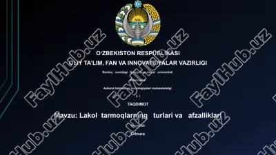 lakol tarmoqlarning turlari va afzalliklari — PPTX
