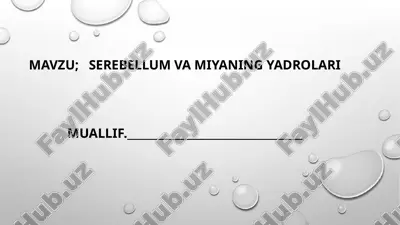 serebellum va miyaning yadrolari — PPTX