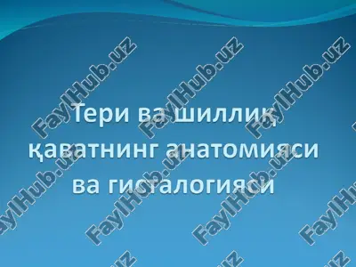 teri-inson tanasini qoplab turuvchi a'zo — PPT