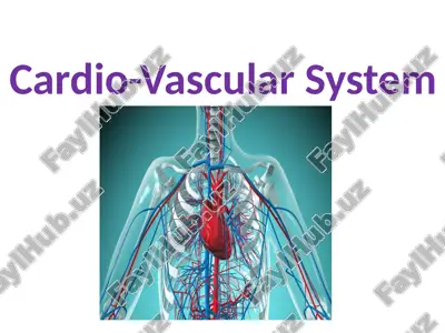 cardio-vascular system — PPTX