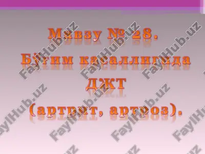 magay n2 28. — PPT