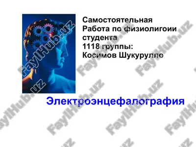 elektroentsefalografiya — PPT