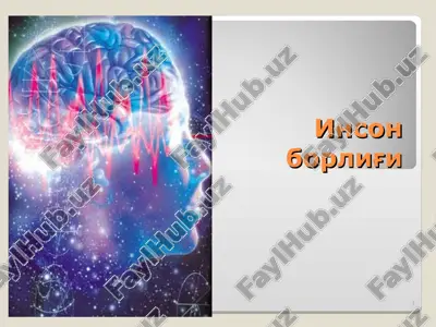 inson borlig'i — PPT