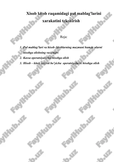 pul mablag'larini xarakatini tekshirish — DOCX