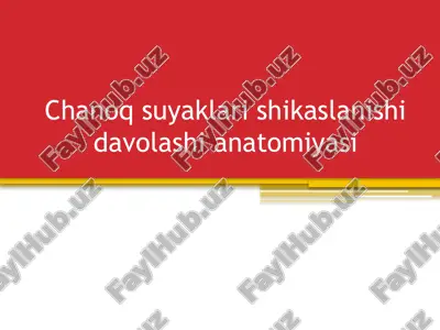 chanoqsuyaglar ishikaslanishidavolashianatomiyasi — PPTX