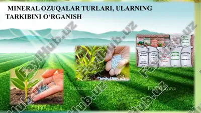 mineral ozuqalar turlari — PPTX