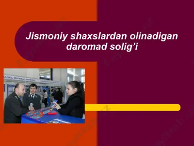 jismoniy shaxslardan olinadigan daromad solig’i — PPT
