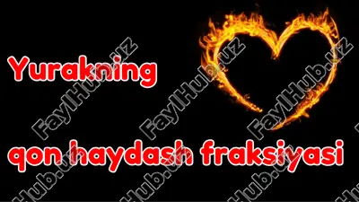 yurakning qon haydash fraksiyasi — PDF