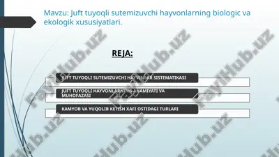 juft tuyoqli sutemizuvchi hayvonlar — PPTX