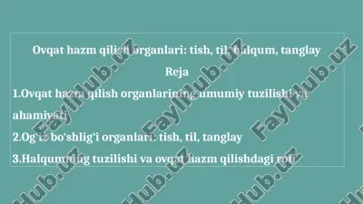 ovqat hazm qilish organlari tish, til, halqum, tanglay — PPTX
