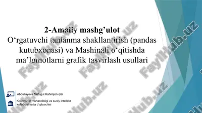 mashinali o‘qitishda ma’lumotlarni grafik tasvirlash usullari — PPTX
