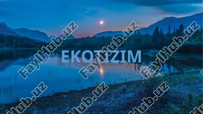 ekotizim — PPTX