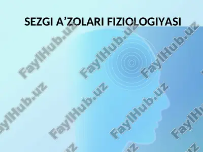 sezgi a’zolari fiziologiyasi — PPT