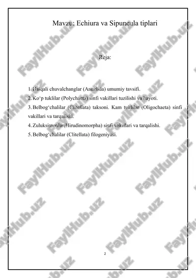 echiura va sipuncula tiplari — DOCX