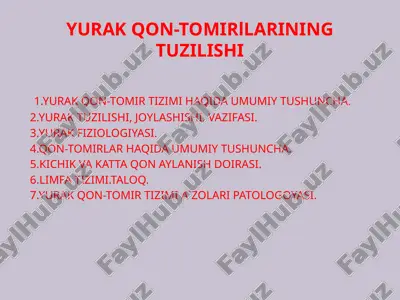 yurak qon-tomirlarining tuzilishi — PPTX